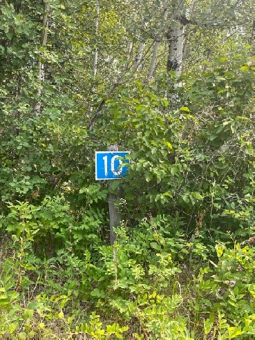 Build Your Dream Home Rural Lac Ste. Anne County Image# 1