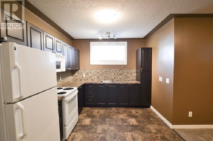 1 bedroom lower level suite for rent in Regina,SK - Apartments & Condos for Rent