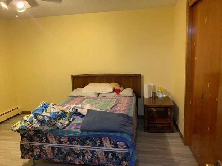 Room in sharing in Charlottetown,PE - Room Rentals & Roommates