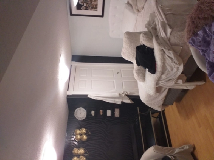 Furnished Room for short term rent Daily, Weekly in Ottawa,ON - Short Term Rentals