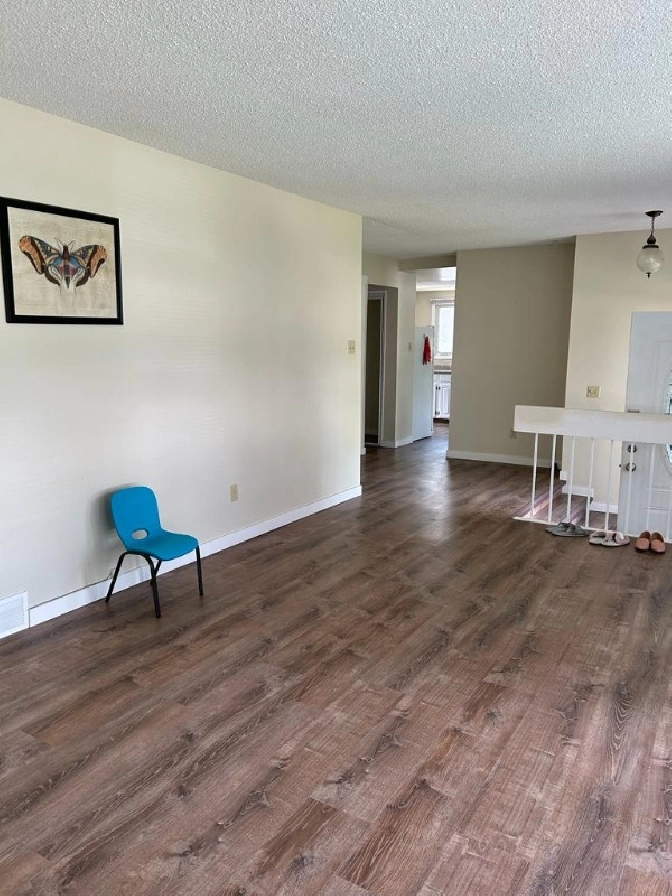 clean sunny room in a beautiful house close to U of M for girls in Winnipeg,MB - Room Rentals & Roommates