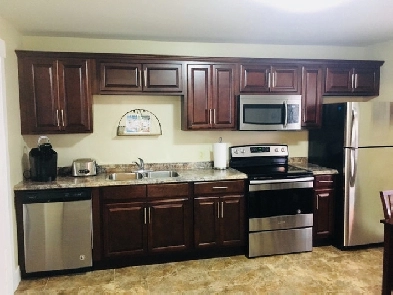 BEAUTIFUL FULLY FURNISHED 2 BEDROOM DOWNTOWN APARTMENT Image# 1