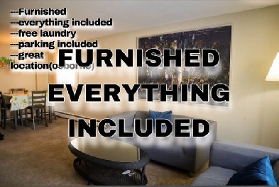 Furnished short and long term one bedroom apartment in osborne Image# 1