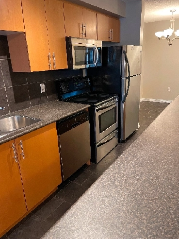 For sale 2 Bedroom 2 bathroom Downtown Edmonton Condo Image# 9