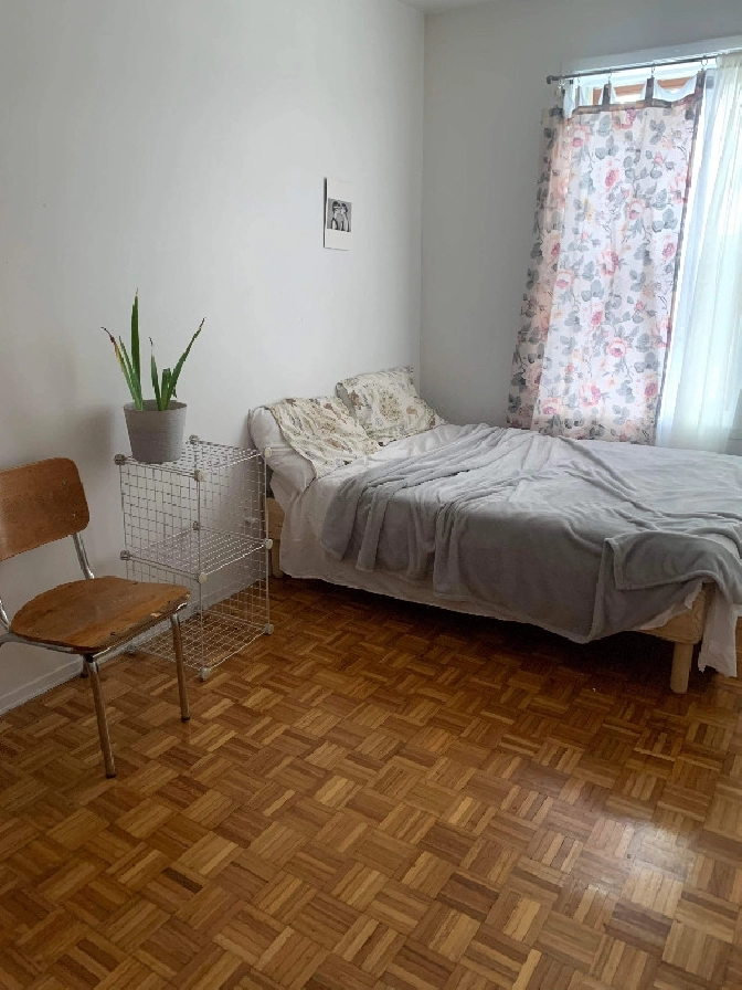 Roommate wanted for large sunny Mile end apartment - December in City of Montréal,QC - Room Rentals & Roommates