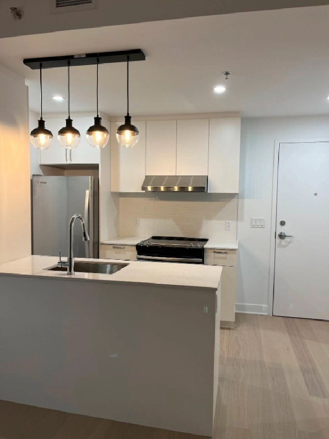 Newly built luxurious condominium in City of Montréal,QC - Apartments & Condos for Rent