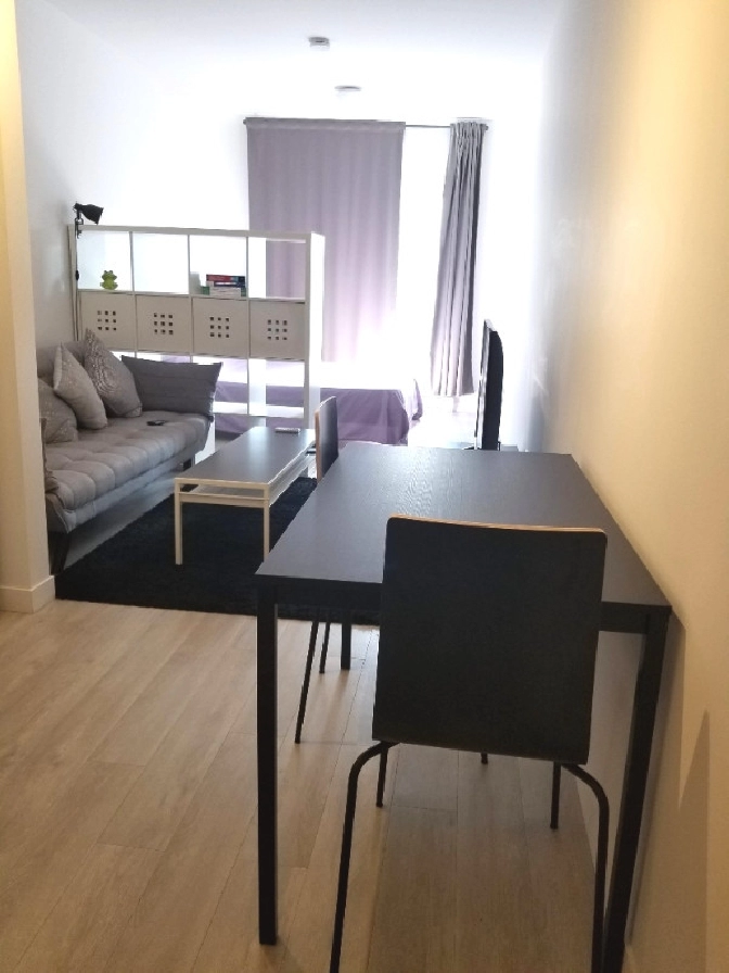 Beautiful Furnished Studio in Newly Constructed Building in City of Montréal,QC - Apartments & Condos for Rent