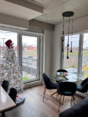 Beautiful 3 1/2 available now in trendy Villeray!