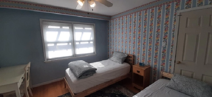 Private Room in Etobicoke- Private entrance, Private Washroom in City of Toronto,ON - Room Rentals & Roommates