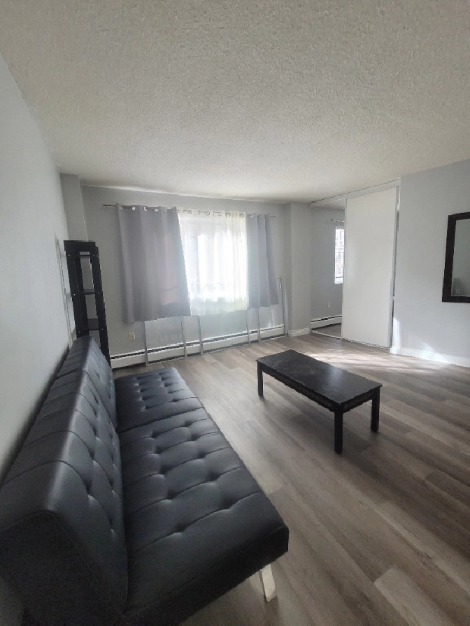 Cozy 1 bedroom near Jasper Ave in Edmonton,AB - Apartments & Condos for Rent