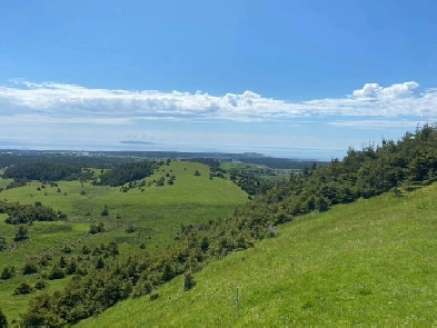 Îles-de-la-Madeleine, terre agricole 16 acres, pâturages, boisés Image# 1