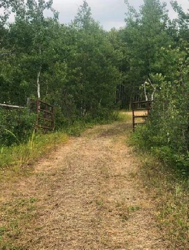 5 acres of land for sale by owner in Westlock County Image# 1