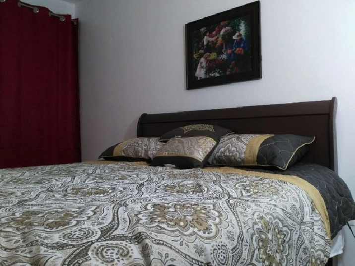 One beautiful large & furnished room for rent in NDG, Montreal in City of Montréal,QC - Room Rentals & Roommates