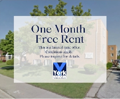 Bachelor Apartment Available Image# 1