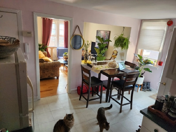 Looking for a roommate in a 2 bedroom apartment near downtown! in Ottawa,ON - Room Rentals & Roommates