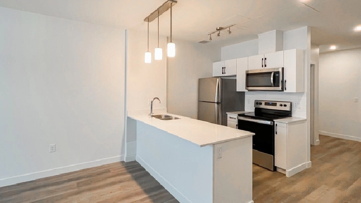 District - Newly Renovated with den Apartment for Rent in Calgary,AB - Apartments & Condos for Rent