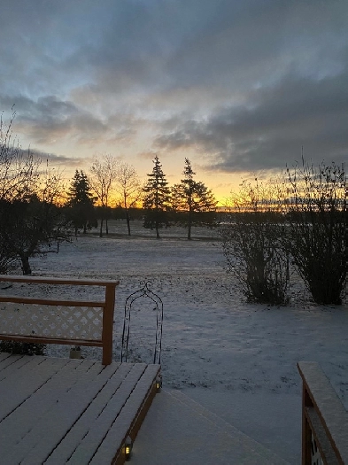 Basement for rent Image# 1