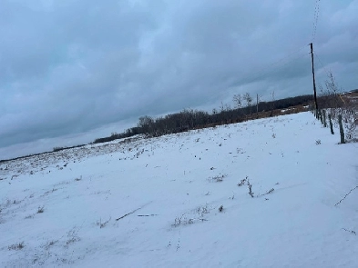 Quarter of pasture for sale SE-8-24-27 W1 Image# 1