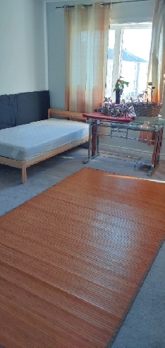 Luxurious Room with Private Bath 850/m Image# 7