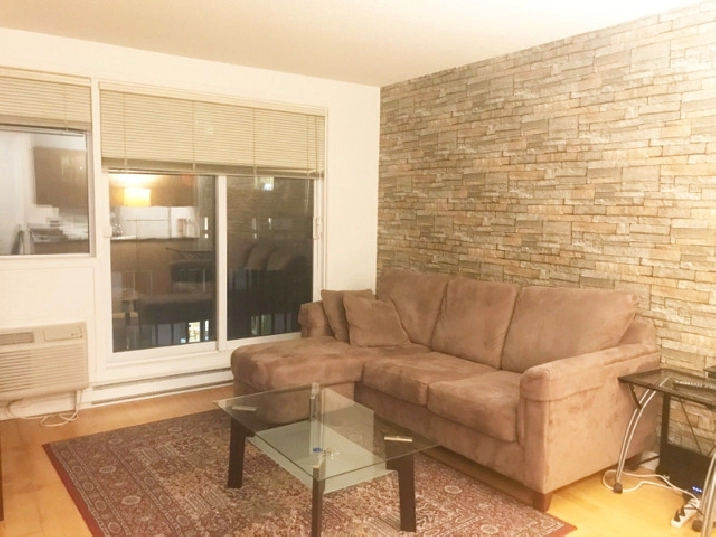 Fully Furnished Condo for rent in Griffintown with Parking in City of Montréal,QC - Apartments & Condos for Rent