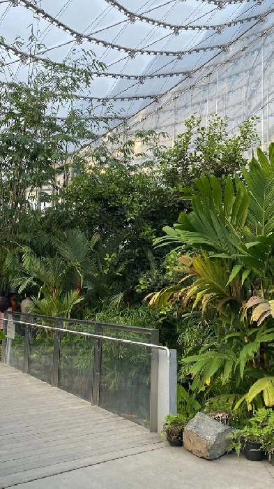 room for rent in pembina Image# 1