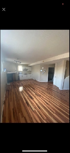 Single room available for girl Image# 1