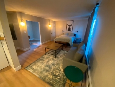 Furnished One Bedroom Newly renovated Image# 1