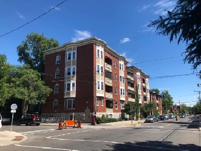 Cozy 2 Bedroom Glebe Apartment for Rent (585 O'Connor St) Image# 1