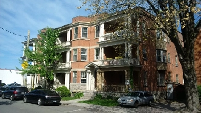 Centretown Basement Bachelor/Studio Apartment (353 Frank St) Image# 6