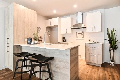 3.5 logement à louer - 1er juillet 2024 Image# 1