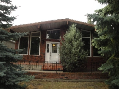 Fully renovated basement suite near Bonnie Doon Mall Image# 1