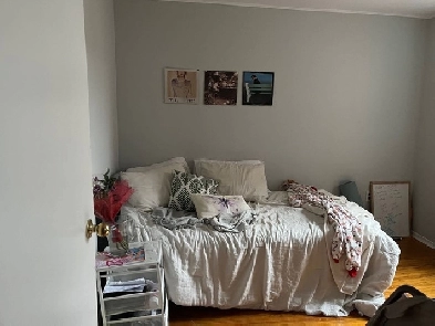 Room For Rent 62B Earl St Image# 1