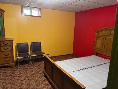 Basement Room in St Vital Image# 1