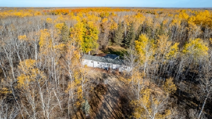 Rare 4 Bedrooms on Treed 2.2 Acre Lot! in Winnipeg,MB - Houses for Sale