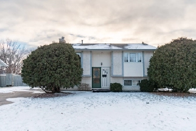 528 Christie Avenue Image# 10