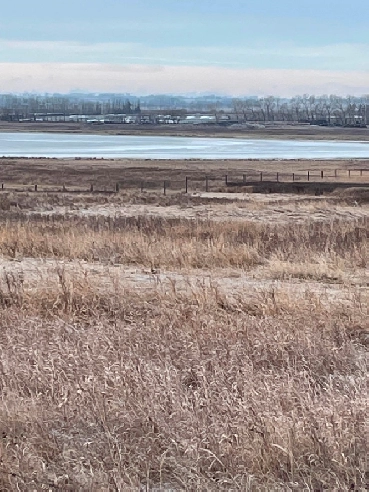 Lakeview acreage 52 km to Calgary City Limits Image# 1