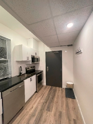 Fully furnished one-bedroom apartment/bachelor in a newly built Image# 1