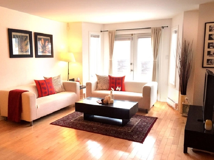Fully Furnished 2 bedrooms/2 bathrooms Downtown in City of Montréal,QC - Apartments & Condos for Rent