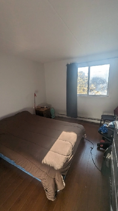 Rent my apartment 3 1/2 Plateau for winter Image# 1