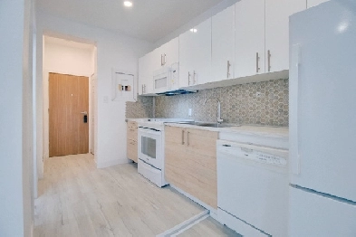 Modern renovated 1-bedroom apartment in the heart of downtown Image# 9