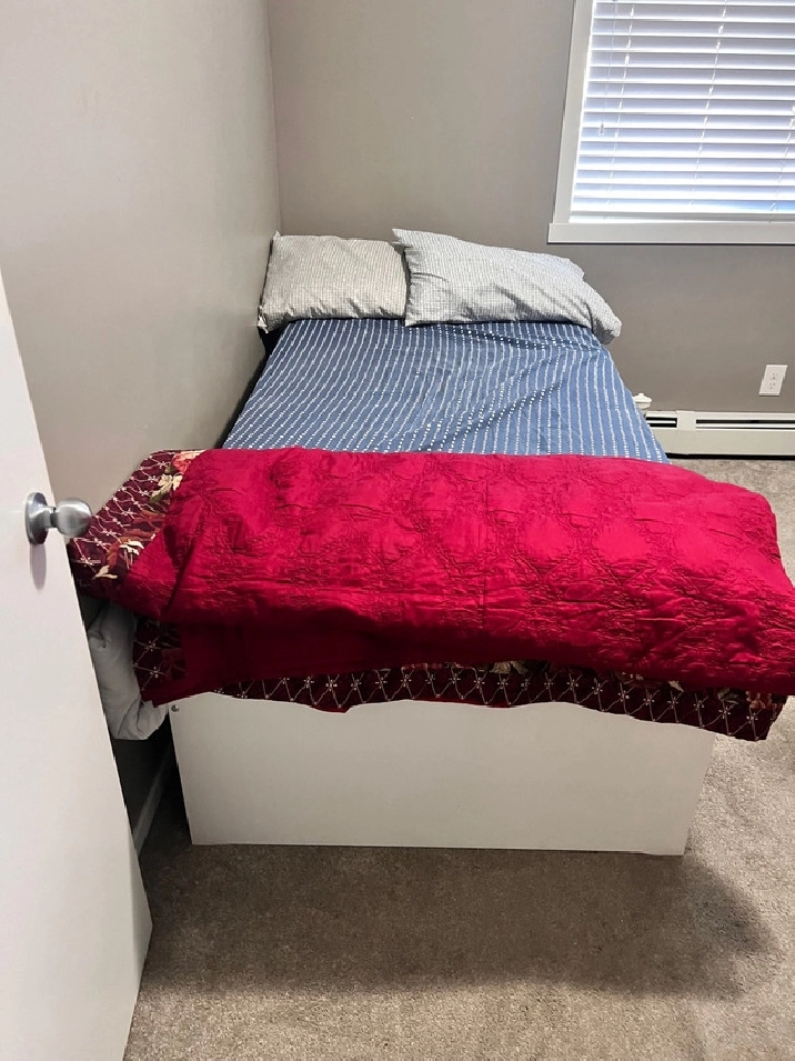 Shared Apartment for rent in Calgary,AB - Room Rentals & Roommates