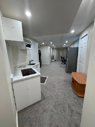 Furnished One-Bedroom Basement for Rent in Bridgewater Centre Image# 1