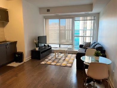 Luxury 1 bedroom downtown condo in Tribeca Image# 7