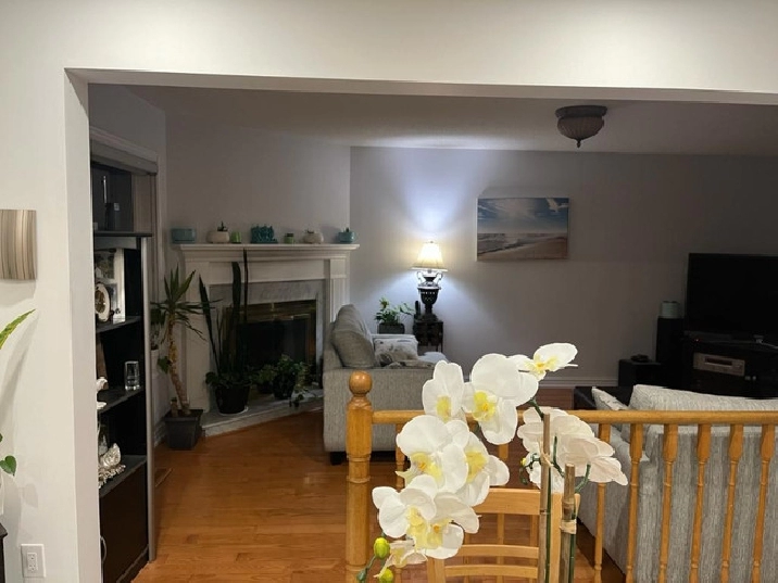 Sharing Room for female in City of Toronto,ON - Room Rentals & Roommates