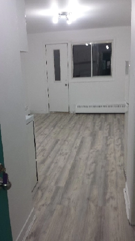 1 1/2  3935 rue MASSON ROSEMONT H1X 1T3. VISITE LIBRE3 ET 4 DEC Image# 1