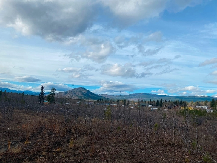 Off grid cabin 20 minutes from town in Whitehorse,YT - Apartments & Condos for Rent