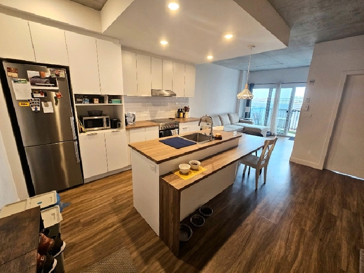 Grand 3 1/2 sur Rosemont in City of Montréal,QC - Short Term Rentals