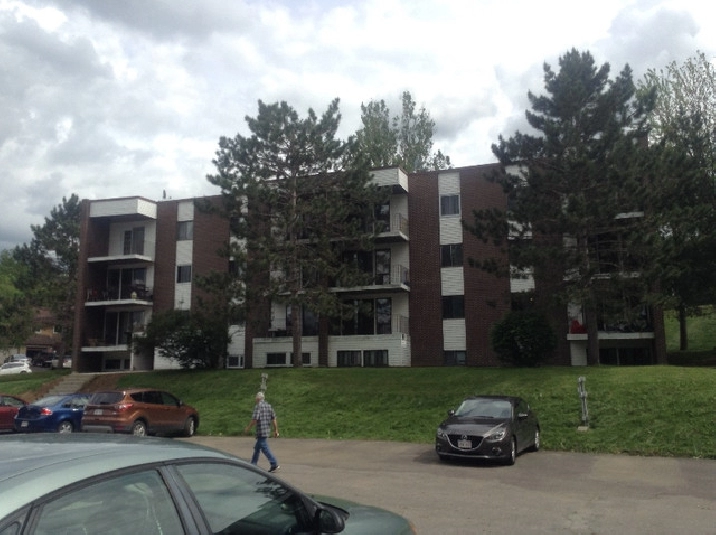 ONE BEDROOM FOR JAN 1 ST PET FRIENDLY in Fredericton,NB - Apartments & Condos for Rent