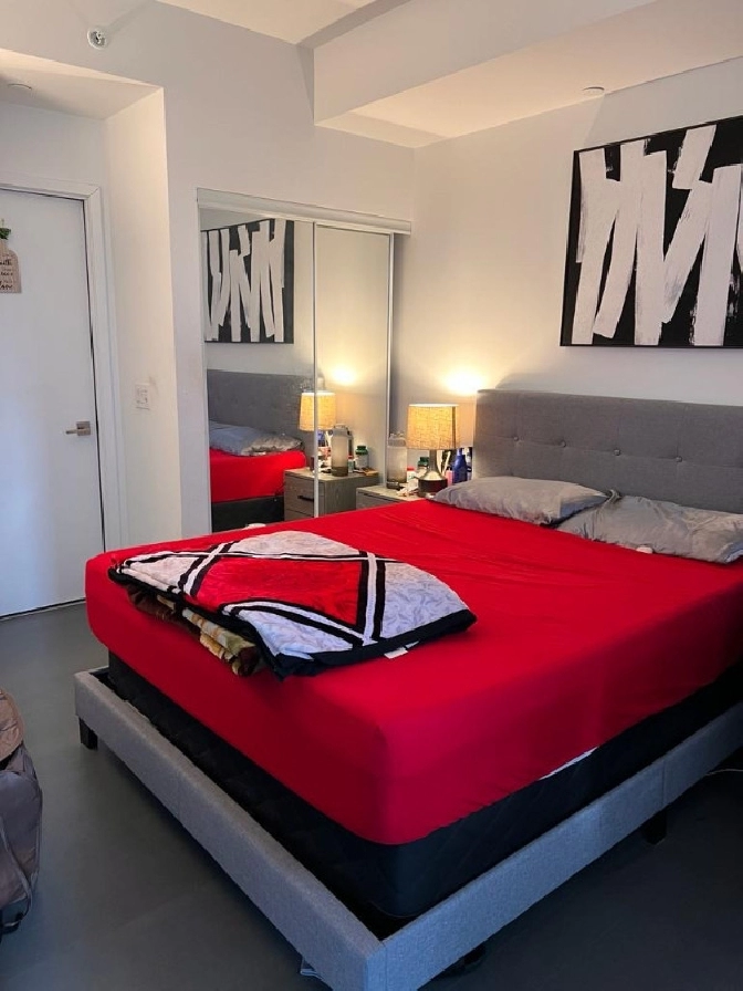 Furnished master bedroom with private bath core downtown Toronto in City of Toronto,ON - Short Term Rentals