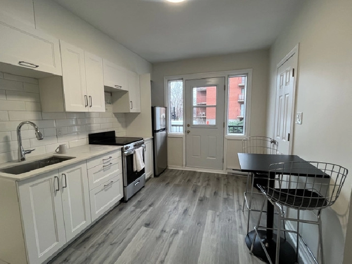RENOVATED & BRIGHT 1-2 bedroom units near Pie-IX in City of Montréal,QC - Apartments & Condos for Rent